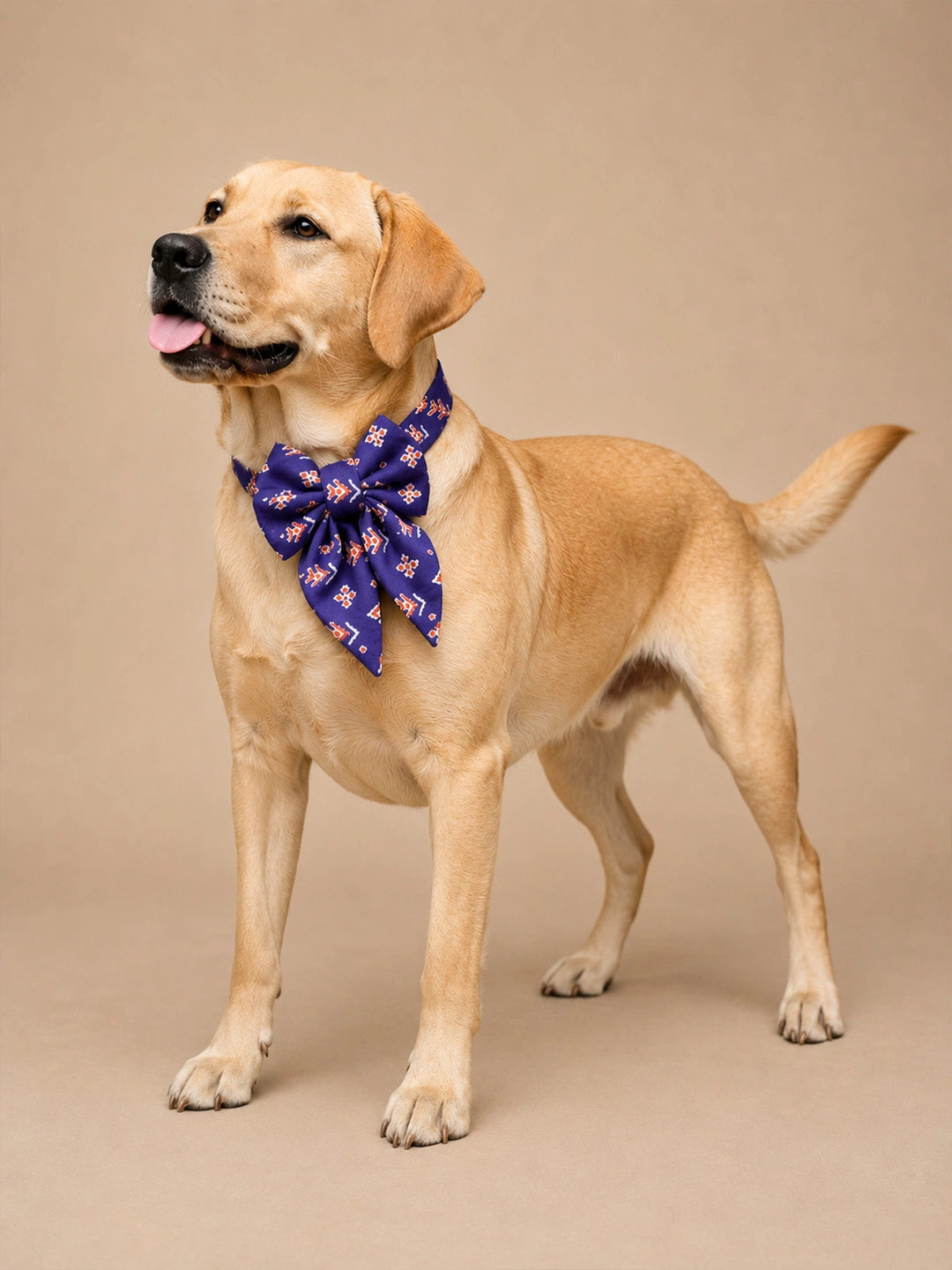 BownBee Pure Cotton Bow- Tie Collar For Pet