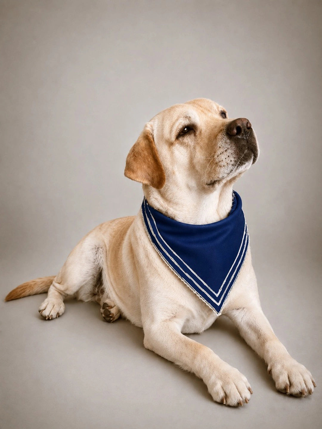 BownBee Pure Cotton Bandana For Pet