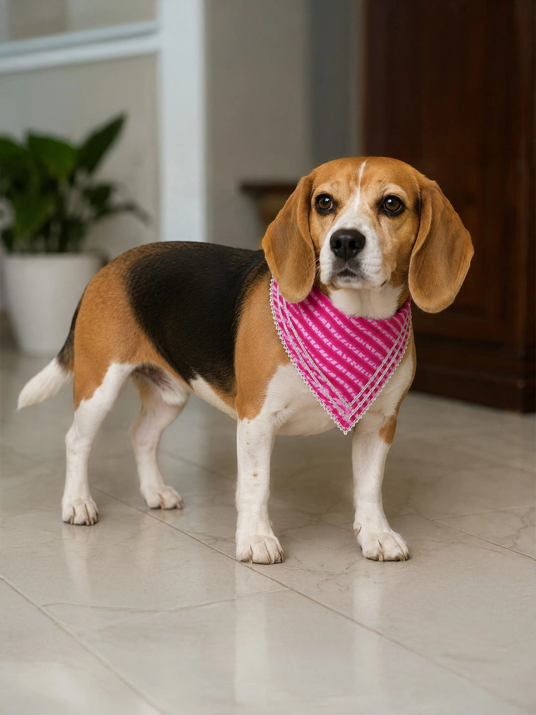 BownBee Pure Cotton Bandana For Pet