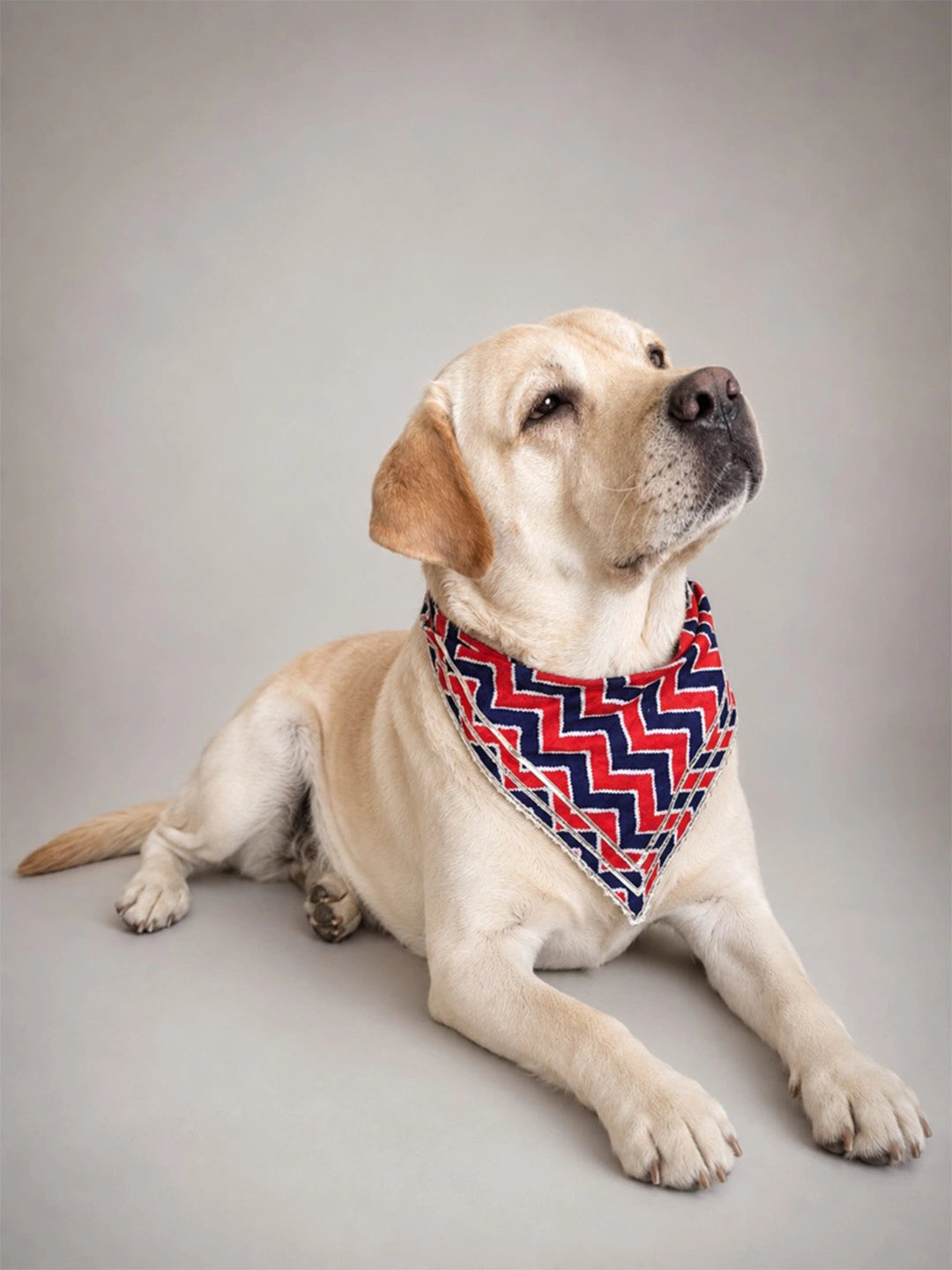 BownBee Pure Cotton Bandana For Pet