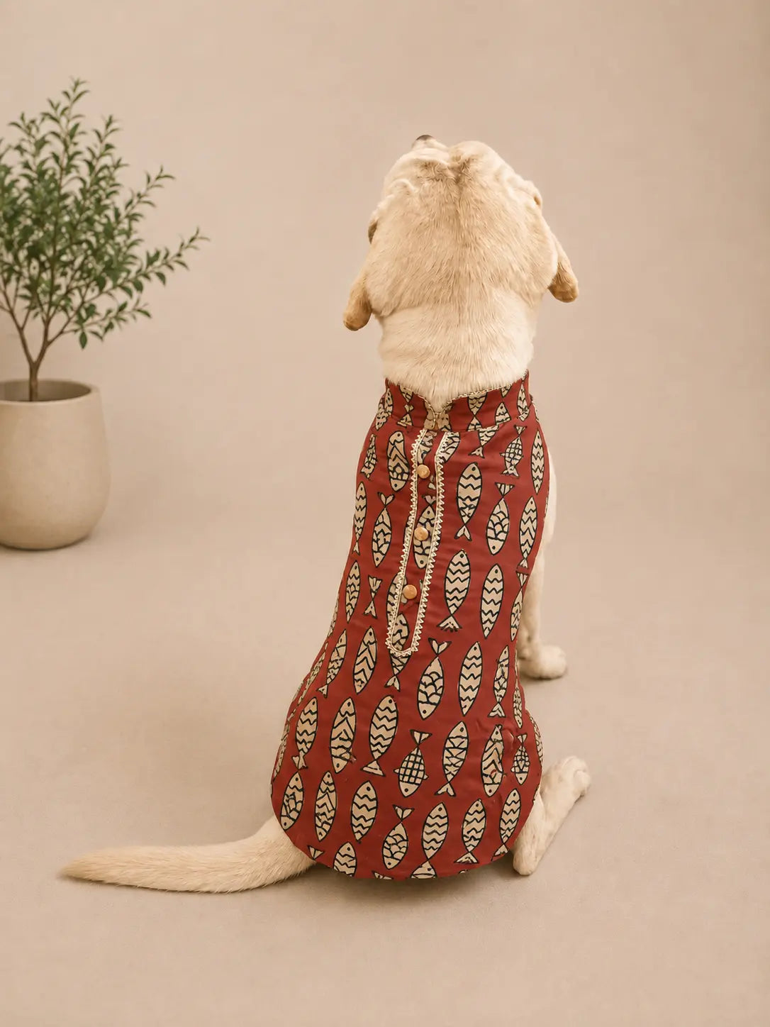 BownBee Pure Cotton Kurta For Pet