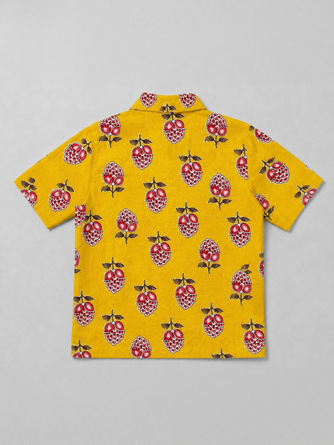 BownBee Summer Printed Dress & Half Sleeve Shirt Sibling Set